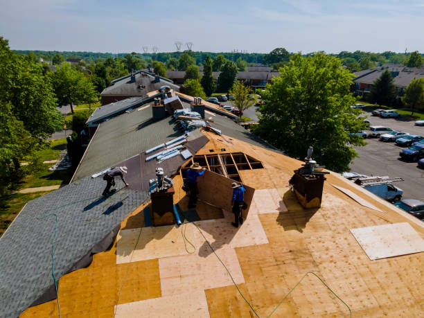 Trusted Roof Replacement service in Barberville, FL - Brentwood Metal Roofing